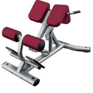 LIFE FITNESS BACK EXTENSION