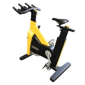 TECHNOGYM – BIKE OCASIÓN SIN PANTALLA