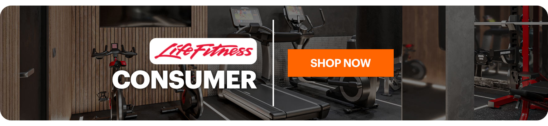 linea1BIS